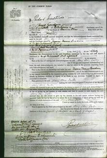 Court of Common Pleas - Mary Ann Fuller-Original Ancestry