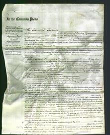 Court of Common Pleas - Elizabeth Palfreyman-Original Ancestry