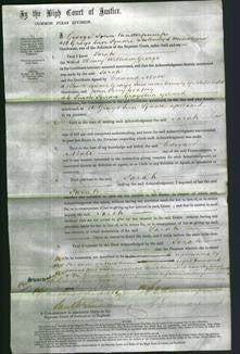 Court of Common Pleas - Sarah George-Original Ancestry