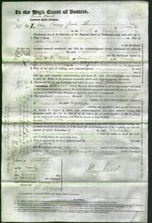 Court of Common Pleas - Elizabeth Simpson-Original Ancestry