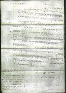 Court of Common Pleas - Elizabeth Woodcock-Original Ancestry