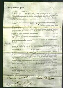 Court of Common Pleas - Mary Welby-Original Ancestry