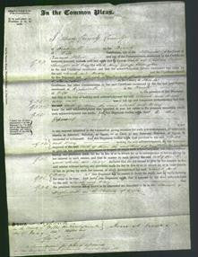 Court of Common Pleas - Sarah Lavington-Original Ancestry