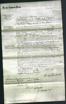 Court of Common Pleas - Peggy Warne-Original Ancestry