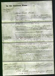 Court of Common Pleas - Elizabeth Bynon-Original Ancestry