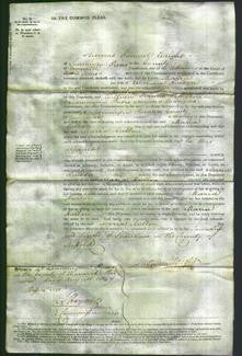 Court of Common Pleas - Maria Hulton-Original Ancestry