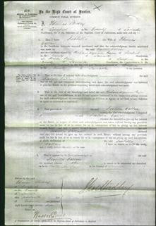 Court of Common Pleas - Isabella Callan-Original Ancestry