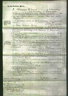 Court of Common Pleas - Mary Anne Fitzgerald-Original Ancestry