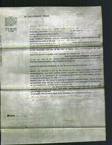 Court of Common Pleas - Sarah Samuel-Original Ancestry