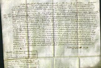 Court of Common Pleas - Martha Stevenson-Original Ancestry