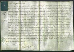 Court of Common Pleas - Sarah Fussell and Caroline Nelson-Original Ancestry