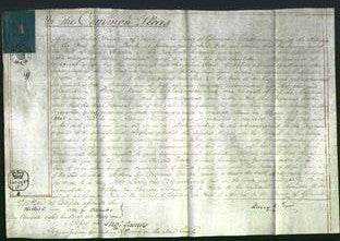 Court of Common Pleas - Charlotte Stephens-Original Ancestry