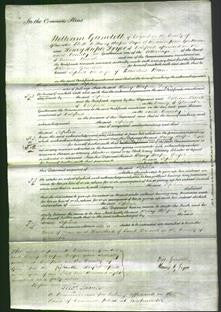 Court of Common Pleas - Sophia Brain-Original Ancestry