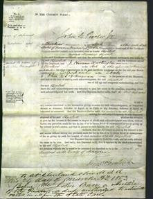 Court of Common Pleas - Elizabeth Hynes-Original Ancestry