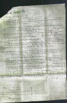 Court of Common Pleas - Sarah Golding-Original Ancestry