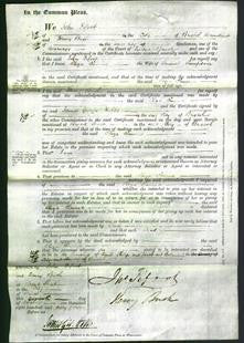 Court of Common Pleas - Eliza Emma Sampson-Original Ancestry