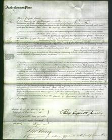 Court of Common Pleas - Jane Jones-Original Ancestry