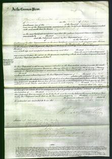 Court of Common Pleas - Elizabeth Lewis-Original Ancestry