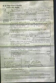Court of Common Pleas - Eliza Davies-Original Ancestry