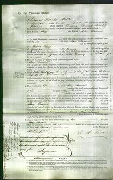 Court of Common Pleas - Mary Russell