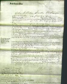 Court of Common Pleas - Jane Gabites