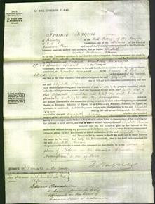 Court of Common Pleas - Elizabeth Brown-Original Ancestry