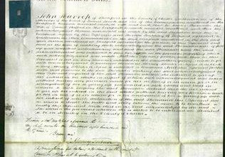 Court of Common Pleas - Thomasin Stafford-Original Ancestry