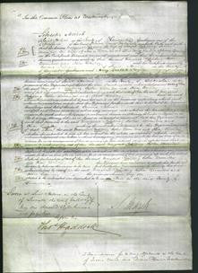 Court of Common Pleas - Margaret Polding, Esther Bromilow and Alice Bailey-Original Ancestry