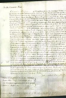 Court of Common Pleas - Sarah Wright, Elizabeth Knowles-Original Ancestry