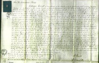 Court of Common Pleas - Mary Hunter-Original Ancestry