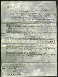 Court of Common Pleas - Jane Hewitt-Original Ancestry