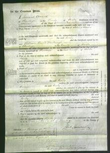 Court of Common Pleas - Emily Adams-Original Ancestry