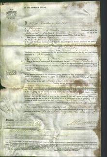 Court of Common Pleas - Mary Trulock-Original Ancestry