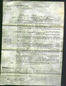 Court of Common Pleas - Catherine Mary Deane-Original Ancestry