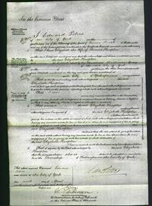 Court of Common Pleas - Elizabeth Knapton-Original Ancestry