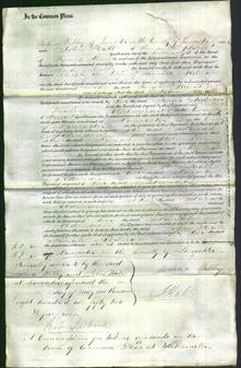 Court of Common Pleas - Sarah Alderson-Original Ancestry