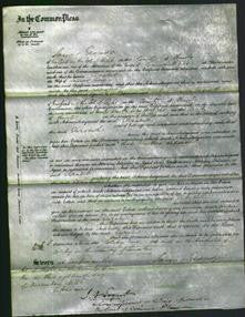 Court of Common Pleas - Elizabeth Noyce-Original Ancestry