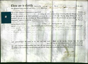 Deed by Married Women - Alice Furness-Original Ancestry