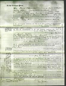 Court of Common Pleas - Mary Ann Holbrook-Original Ancestry