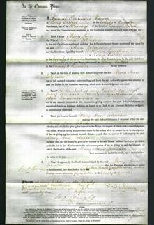 Court of Common Pleas - Mary Ann Johnson-Original Ancestry