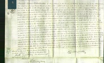 Court of Common Pleas - Harriet Searancke-Original Ancestry