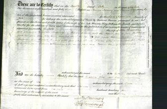 Deed by Married Women - Elizabeth Chapman-Original Ancestry