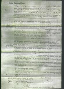 Court of Common Pleas - Frances Shilton-Original Ancestry