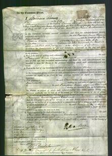 Court of Common Pleas - Francoise Marie Suzanne Vanbrouck-Original Ancestry