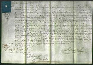 Court of Common Pleas - Isabella Russell, Elizabeth Ridley and Hannah Milburn Lowthian-Original Ancestry