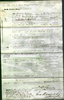 Court of Common Pleas - Charlotte Longstaff Gregory-Original Ancestry