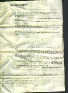 Court of Common Pleas - Mary Anne Lambert-Original Ancestry