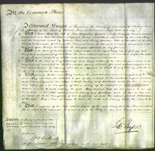 Court of Common Pleas - Mary Goodson-Original Ancestry