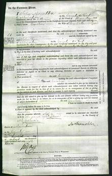 Court of Common Pleas - Caroline Lewis-Original Ancestry