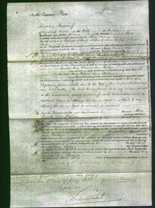 Court of Common Pleas - Mary Frances Jane Phillips-Original Ancestry